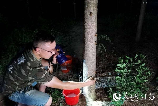 贝股通 行进中国｜“金蝉哥”的共富经