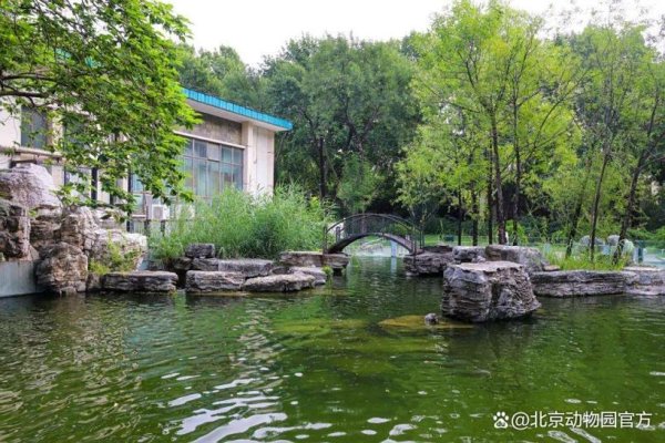 江苏配资网 北京动物园西区宝藏攻略大放送！