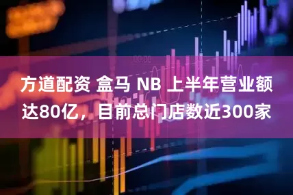 方道配资 盒马 NB 上半年营业额达80亿，目前总门店数近300家