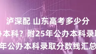 泸深配 山东高考多少分可以上公办本科？附25年公办本科录取分数线汇总